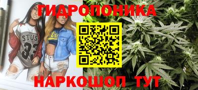 прущие грибы Первоуральск