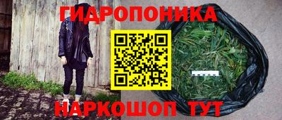 прущие грибы Первоуральск