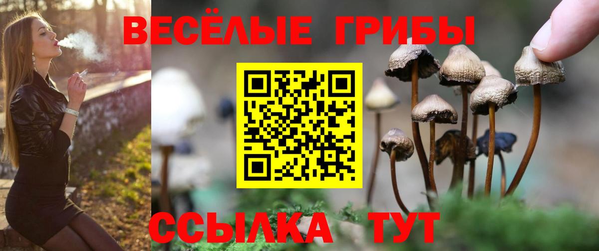 Галлюциногенные грибы ЛСД Соликамск